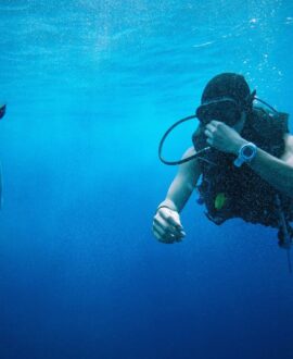 Diving