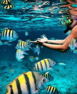 Snorkling