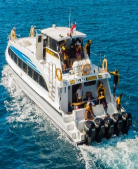 Cruise